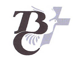 Partner 17